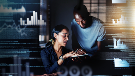 Website development on DotPlant