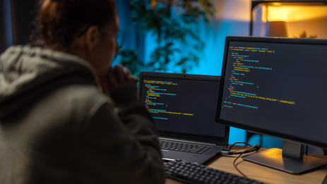 Website development on Rapido.CMS