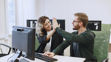 Website development on CMS WP