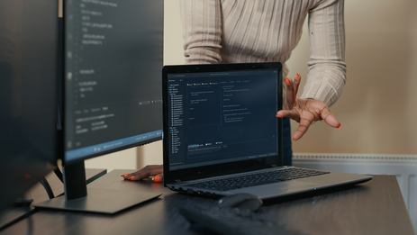 Website development on Site Sapiens ECMS