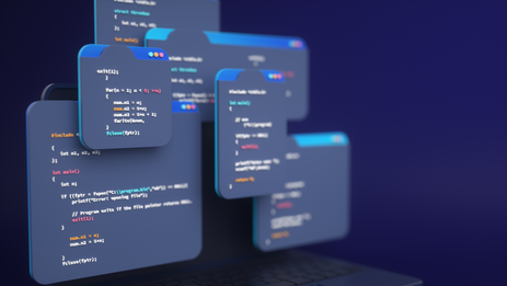 Website development on CM5