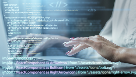 Website development on Iritec CMS