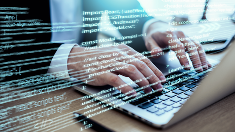 Website development on C-Gator
