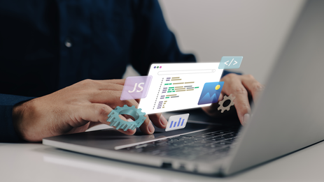 Website development on BREVIS CMS