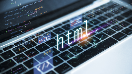 Website development on WebManager-Pro