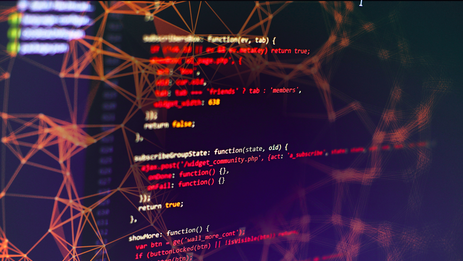 Website development on CMS Practica