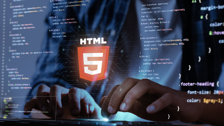 Website development on PMD.CMS