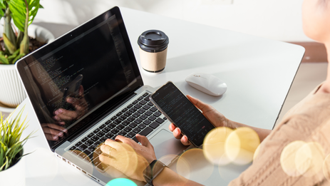 Website development on ArtGK CMS
