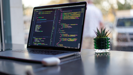 Website development on SMIT CMS