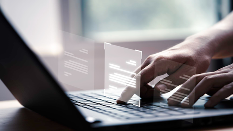 Website development on CMS Wordpress