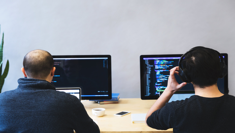 Website development on ORIDIS CMS