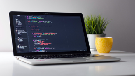 Website development on Pantera CMS