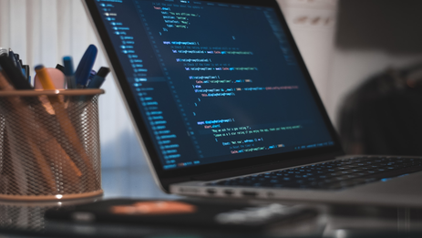 Website development on OlmiCMS