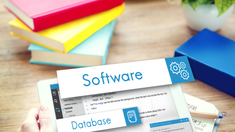 Website development on INSY.CMS