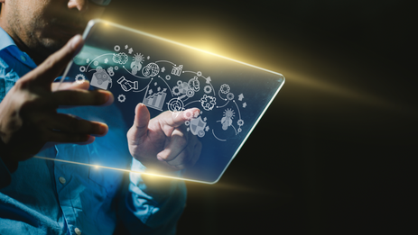 Website development on Dating script PG Dating Pro