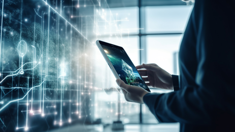 Website development on PromyCMS