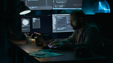 Website development on Plushka